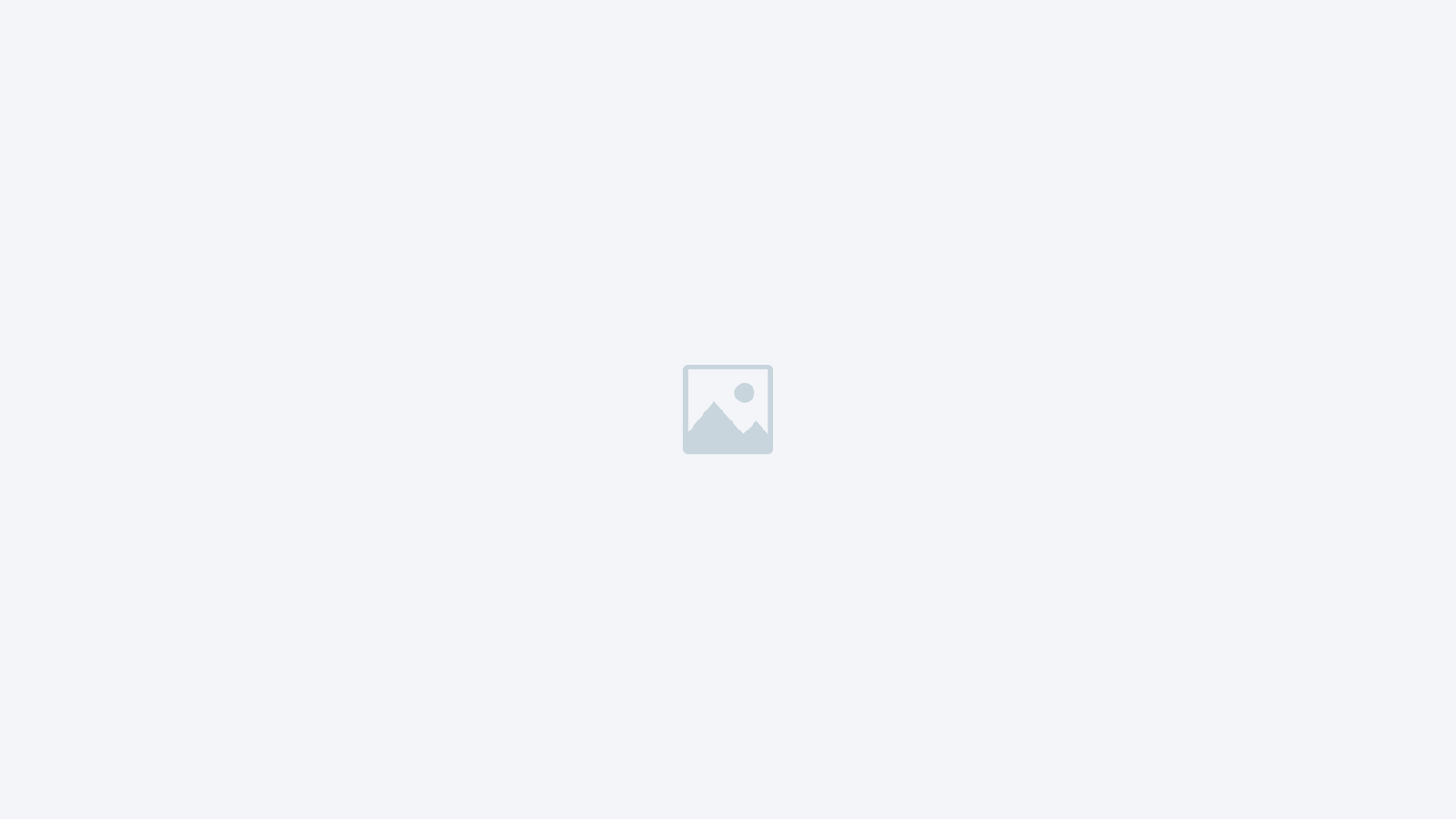 placeholder demo image scaled.jpg